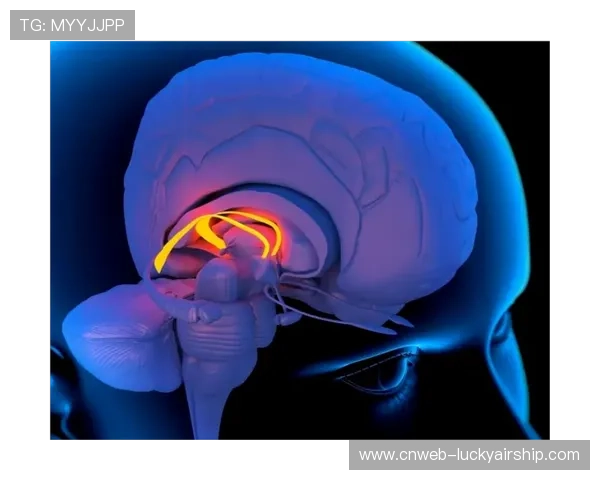 神经科学应用突破，运动表现优化科学化